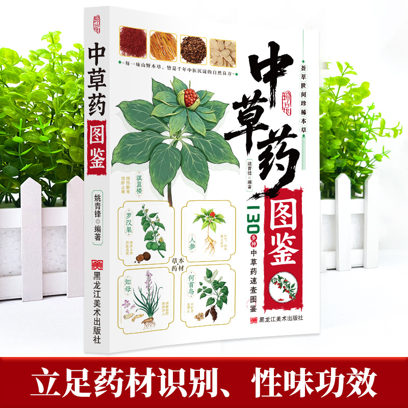Illustrierter Leitfaden Chines – Herbal Holistic Wellness Bewertung und Preis