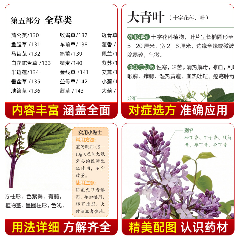Illustrierter Leitfaden Chines – Herbal Holistic Wellness Bewertung und Preis